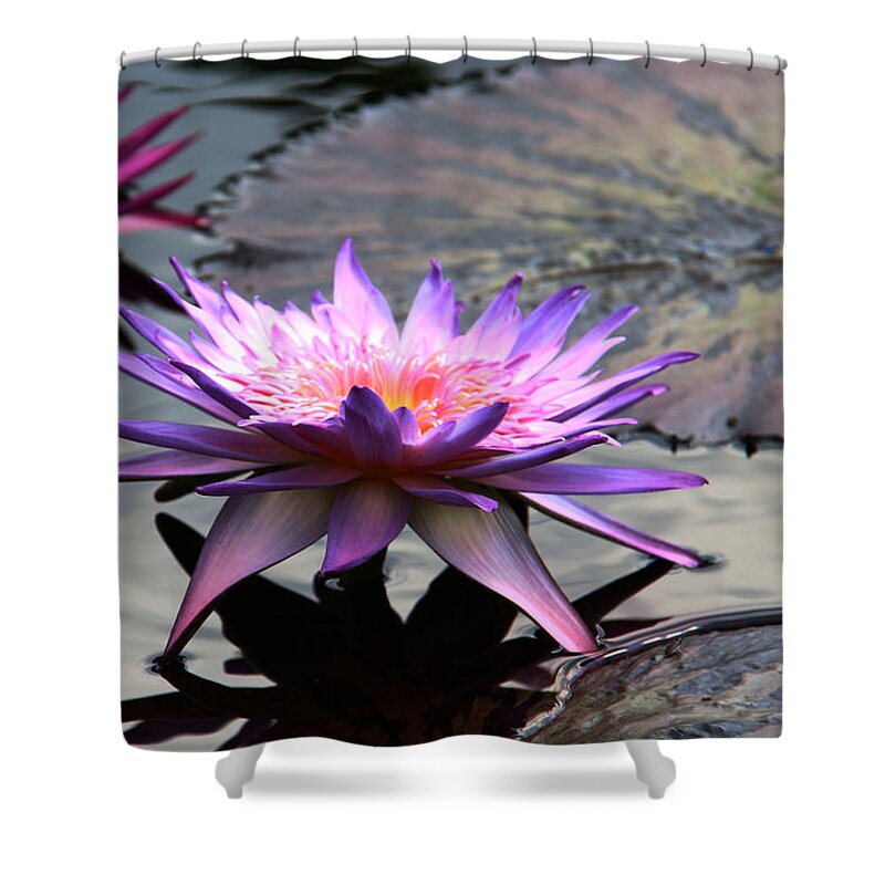 Photograph Shower Curtain featuring the photograph Dark Water Reflections by Yvonne Wright