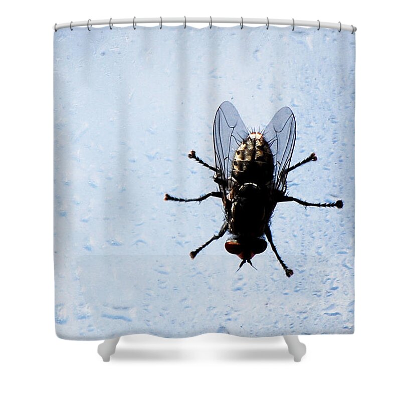 Becky Furgason Shower Curtain featuring the photograph #refreshing by Becky Furgason