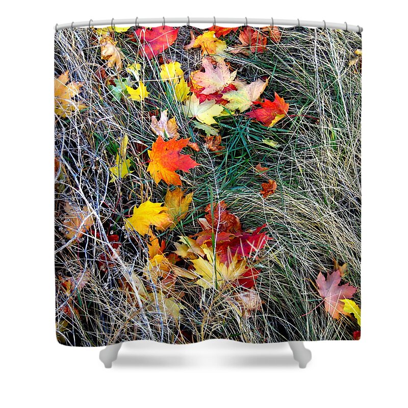Autumn Shower Curtain featuring the photograph Release by Kathy Bassett