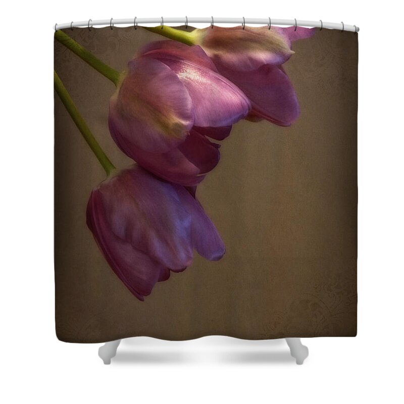 Lucinda Walter Shower Curtain featuring the photograph Remaining Glory by Lucinda Walter