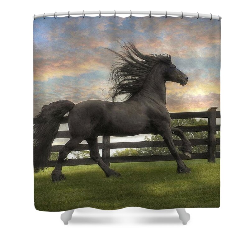 Friesian Shower Curtain featuring the photograph Remains of the Day by Fran J Scott