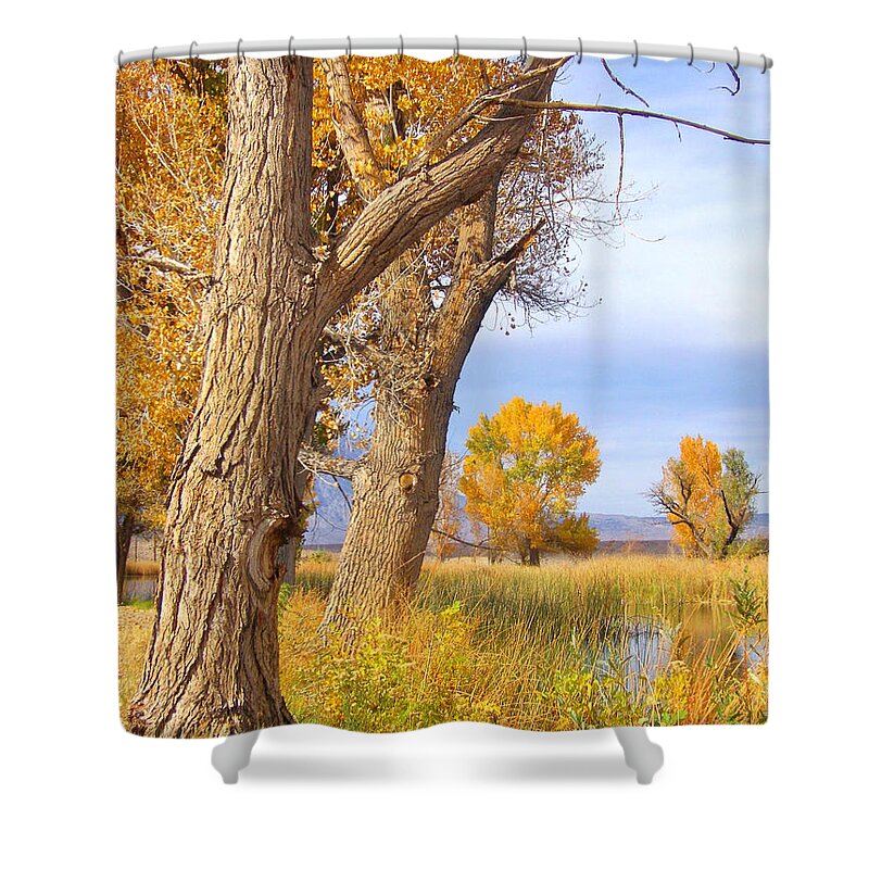 Sky Shower Curtain featuring the photograph Remembering Autumn by Marilyn Diaz