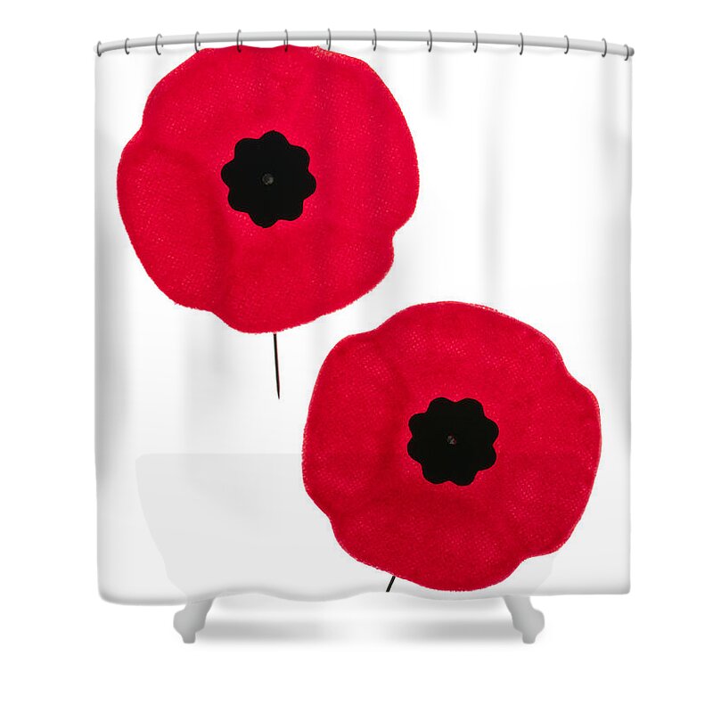 Poppies Shower Curtain featuring the photograph Remembrance Day poppies by Elena Elisseeva