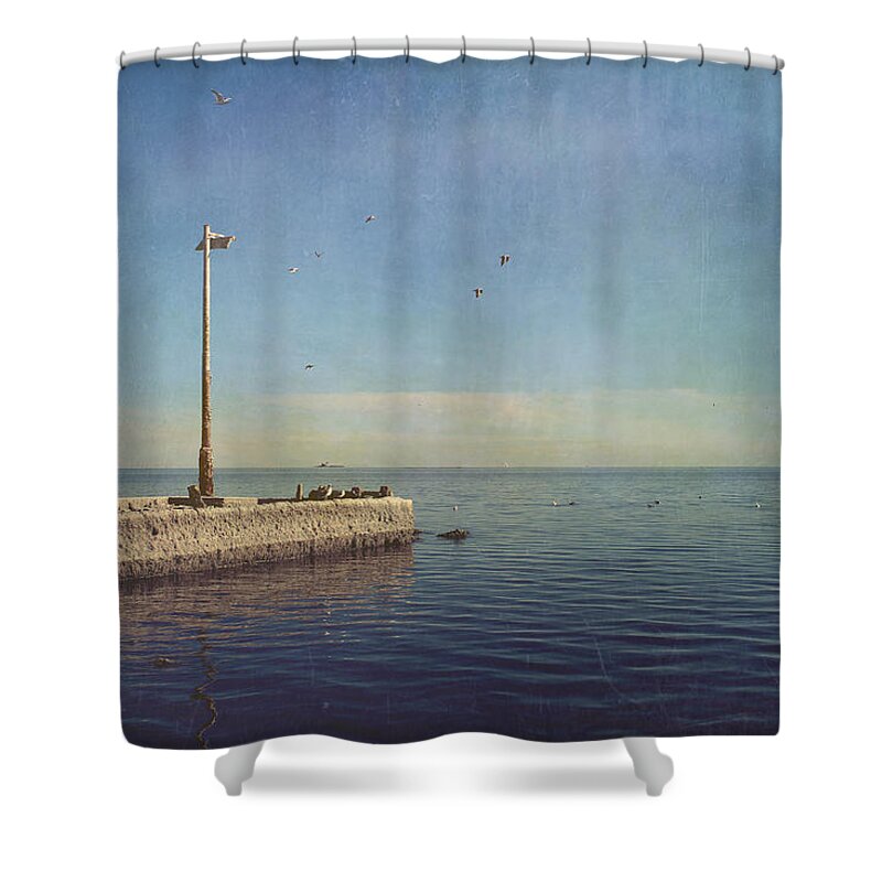 Salton Sea Shower Curtain featuring the photograph Reminders by Laurie Search