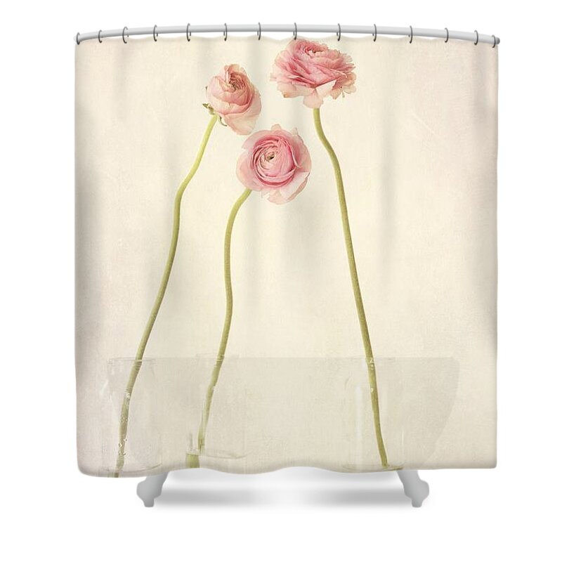#faatoppicks Shower Curtain featuring the photograph Renoncules by Priska Wettstein