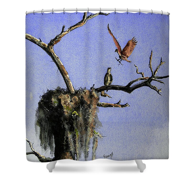 Eagle Shower Curtain featuring the painting Repairing The Nest by Sam Sidders