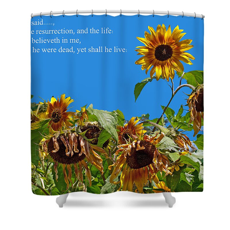 Firstfruits Shower Curtain featuring the photograph Resurrected Life by Tikvah's Hope