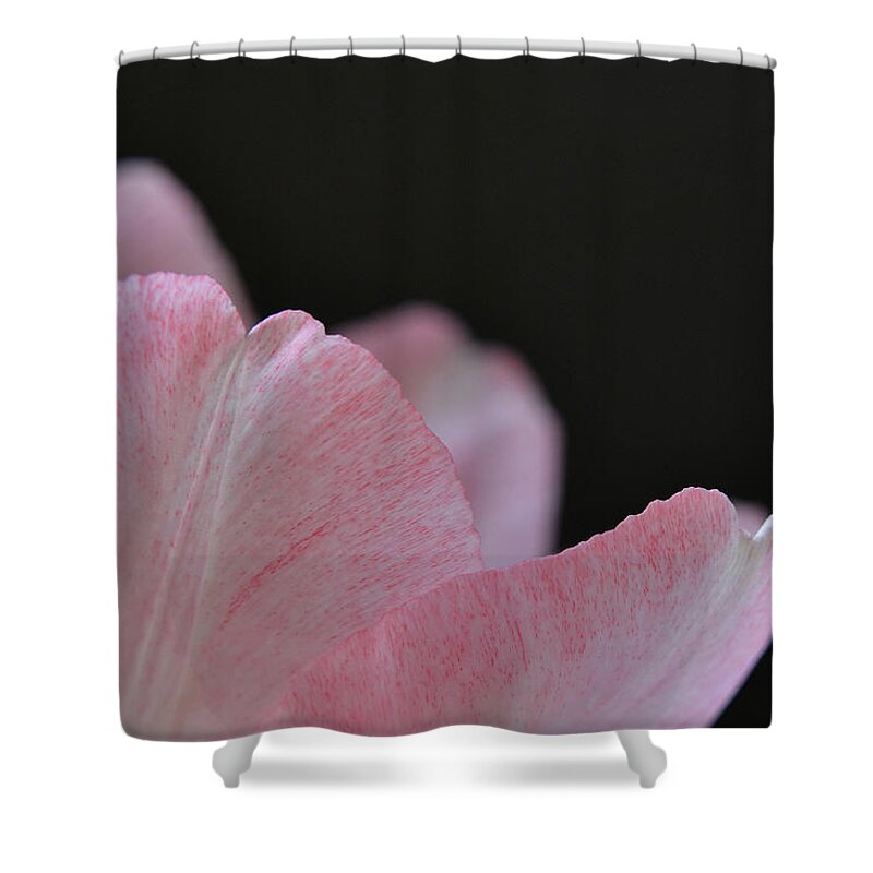 Flower Shower Curtain featuring the photograph Revealing Nature by Melanie Moraga
