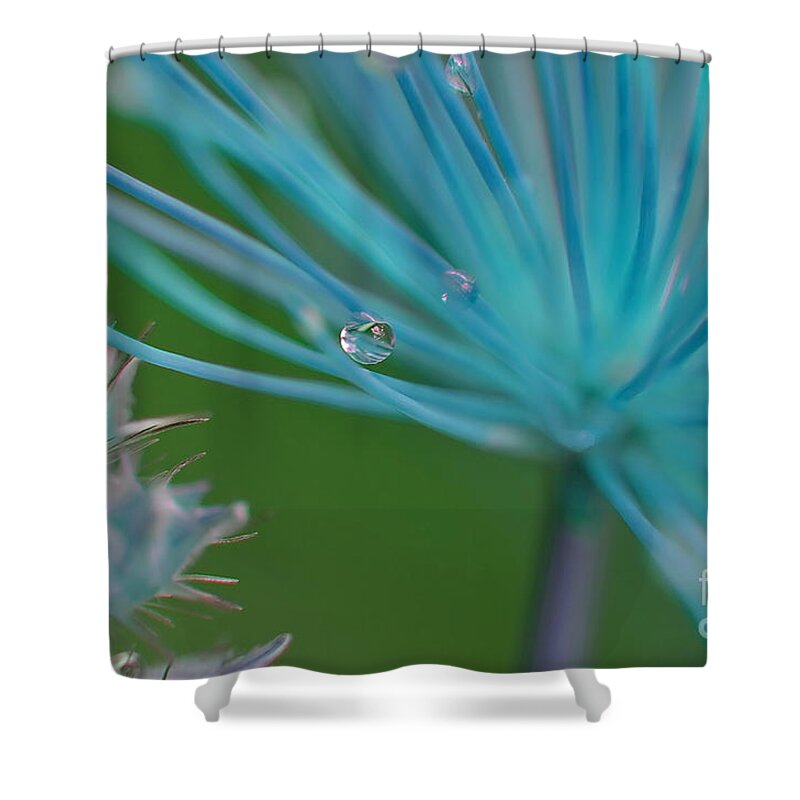 Michelle Meenawong Shower Curtain featuring the photograph Rhapsody In Blue by Michelle Meenawong