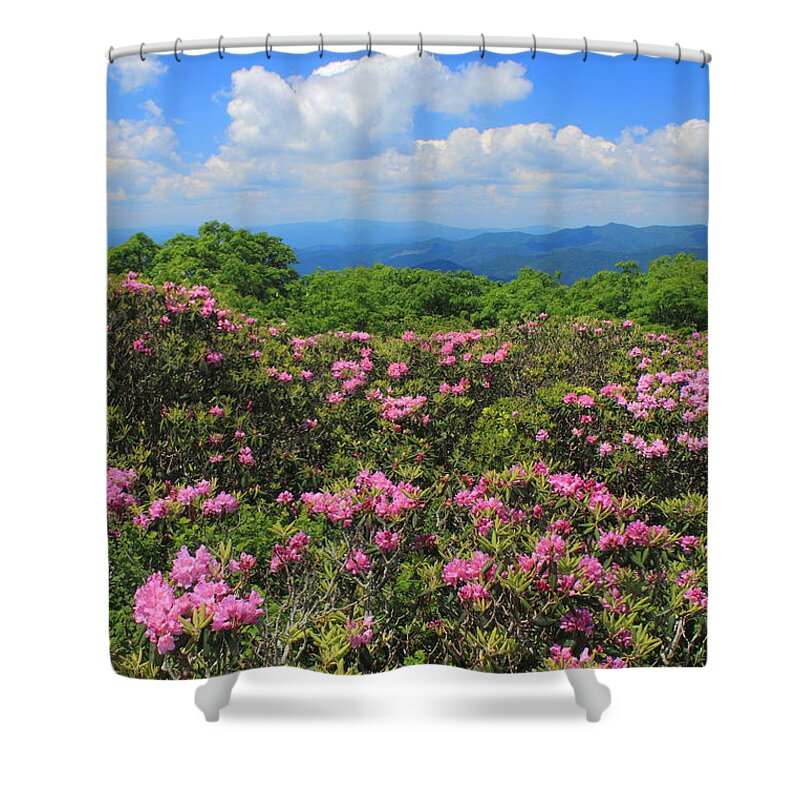 Rhododendron Shower Curtain featuring the photograph Rhododendrons Craggy Gardens Blue Ridge Parkway by John Burk
