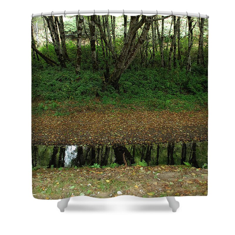 Forest Shower Curtain featuring the photograph Ribbon Of Reflection by Donna Blackhall