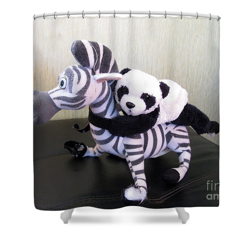 Baby Panda Shower Curtain featuring the photograph Riding a zebra.Traveling pandas series by Ausra Huntington nee Paulauskaite