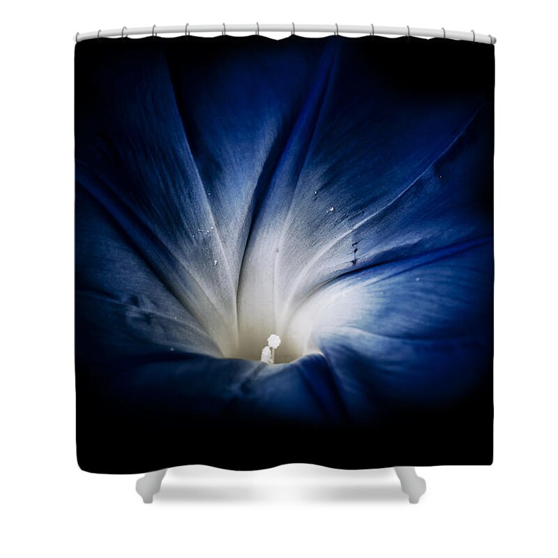 Blumwurks Shower Curtain featuring the photograph Rise And Shine by Matthew Blum