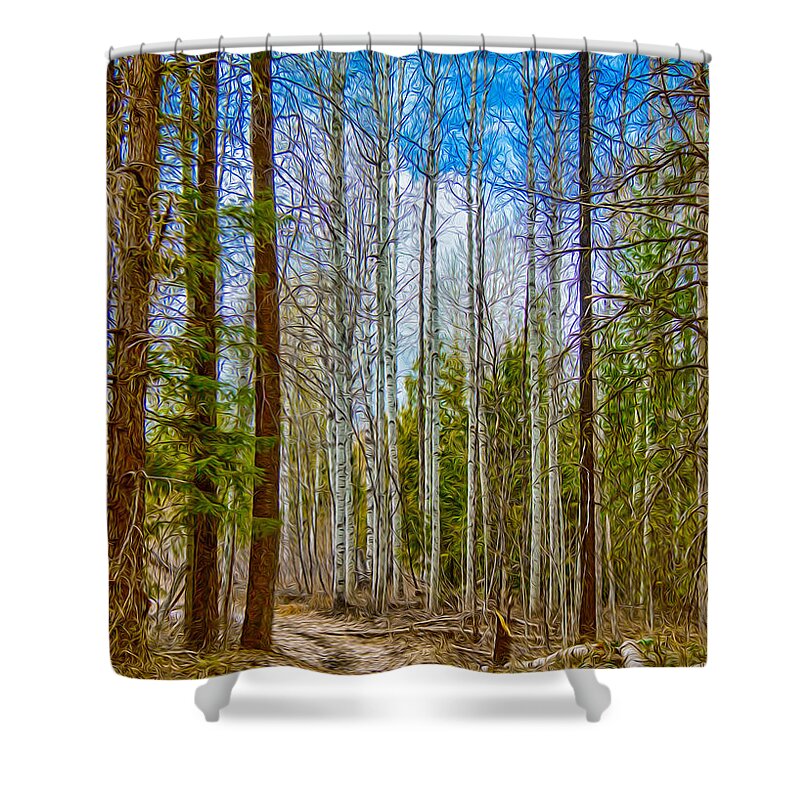 North Cascades Shower Curtain featuring the painting River Run Trail at Arrowleaf by Omaste Witkowski