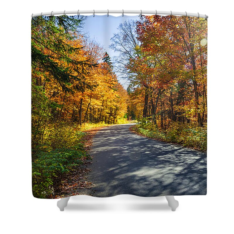 Road Shower Curtain featuring the photograph Road through fall forest by Elena Elisseeva