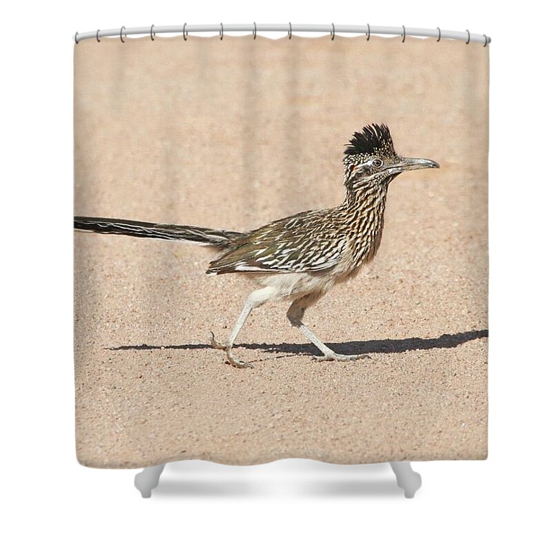 Road Runner Shower Curtain featuring the photograph Road Runner On The Road by Tom Janca