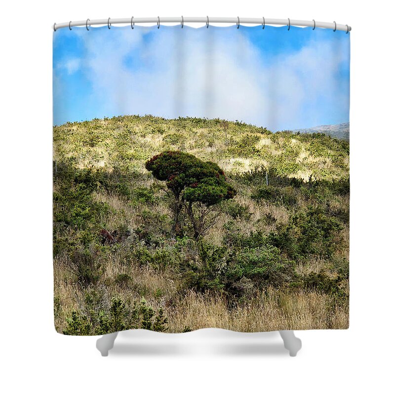 Hawaii Shower Curtain featuring the photograph Road to Haleakala 22 by Dawn Eshelman