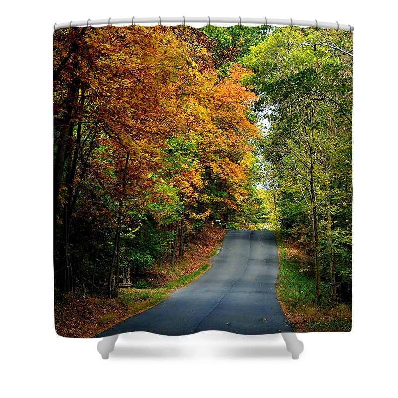 Road Shower Curtain featuring the photograph Road To Riches by Carlee Ojeda