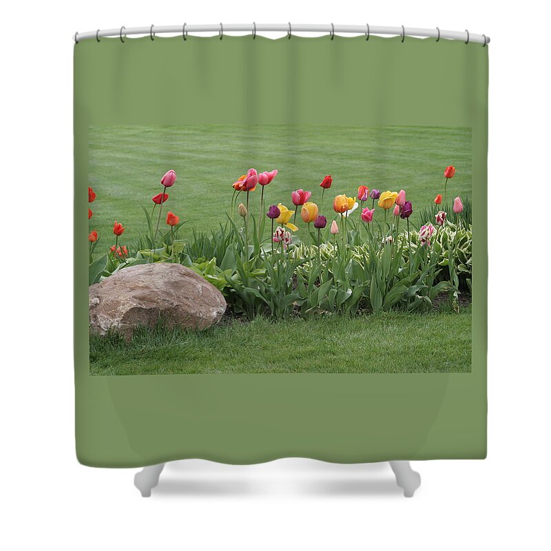 Tulips Shower Curtain featuring the photograph Tulip and Hosta Garden by Valerie Collins