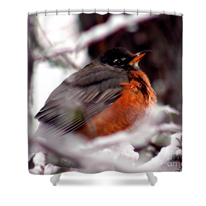 Bird Shower Curtain featuring the photograph Robins' Patience by Lesa Fine