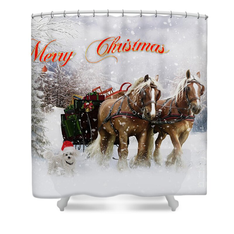 Christmas Shower Curtain featuring the painting Merry Christmas by Shanina Conway