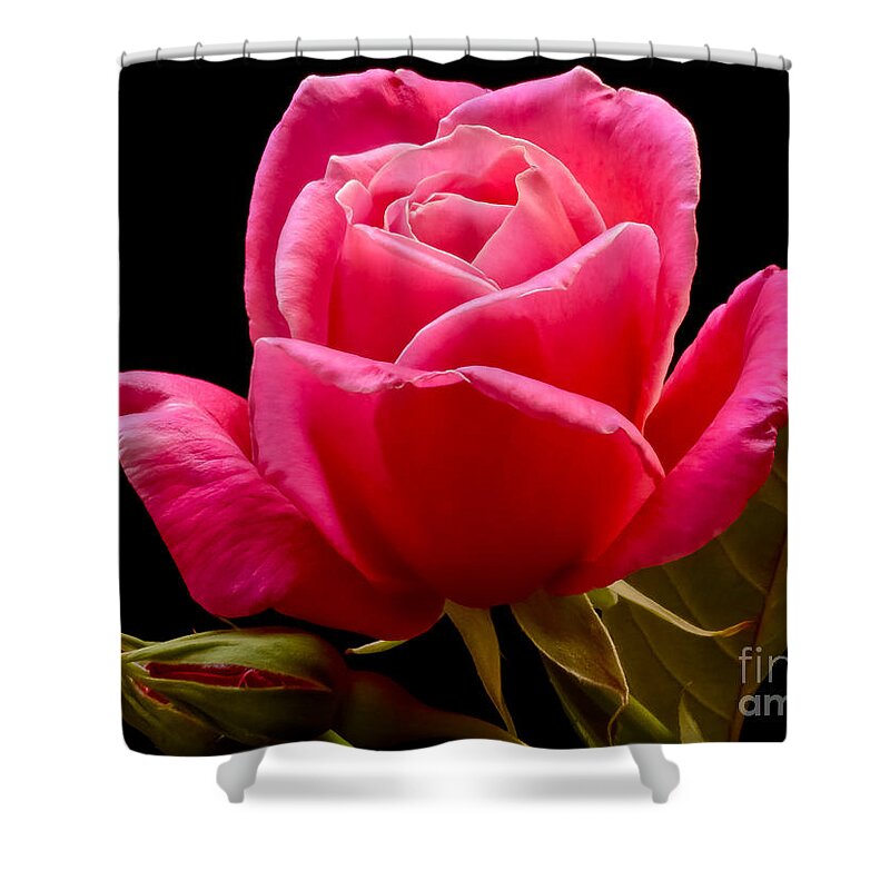 Oregon Shower Curtain featuring the photograph Romantic by Nick Boren