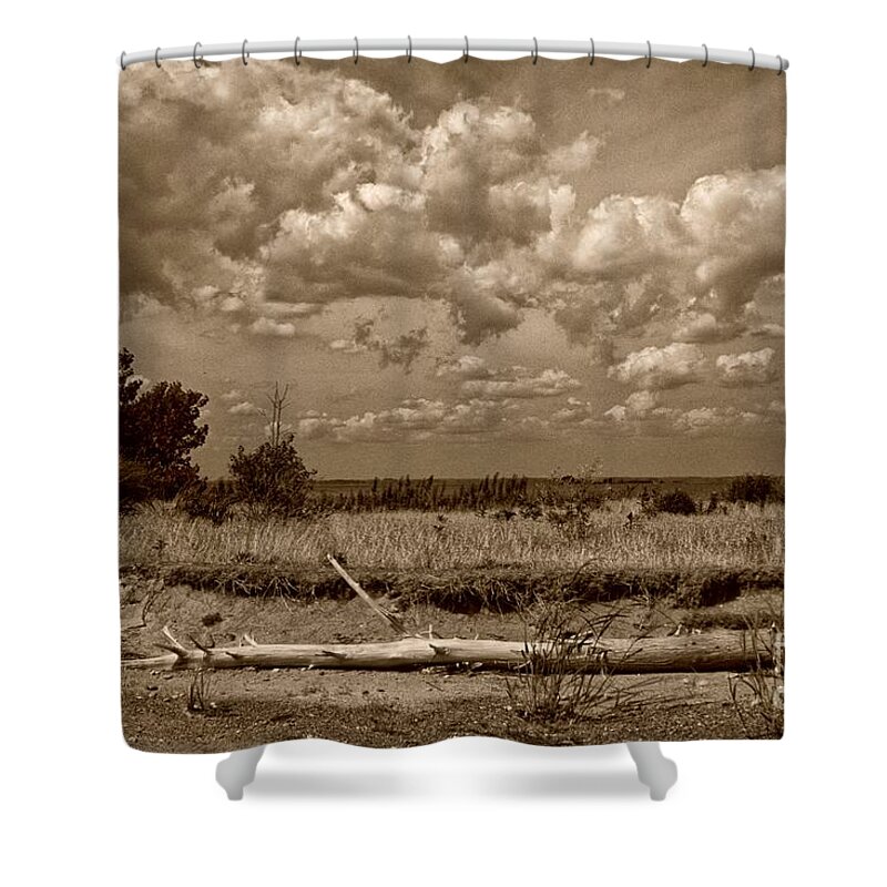 Canada Shower Curtain featuring the photograph Rondeau Provincial Park by John Harmon