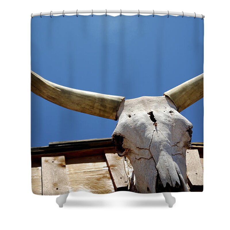 Horn Shower Curtain featuring the photograph Roofline Skull 21905 by Jerry Sodorff