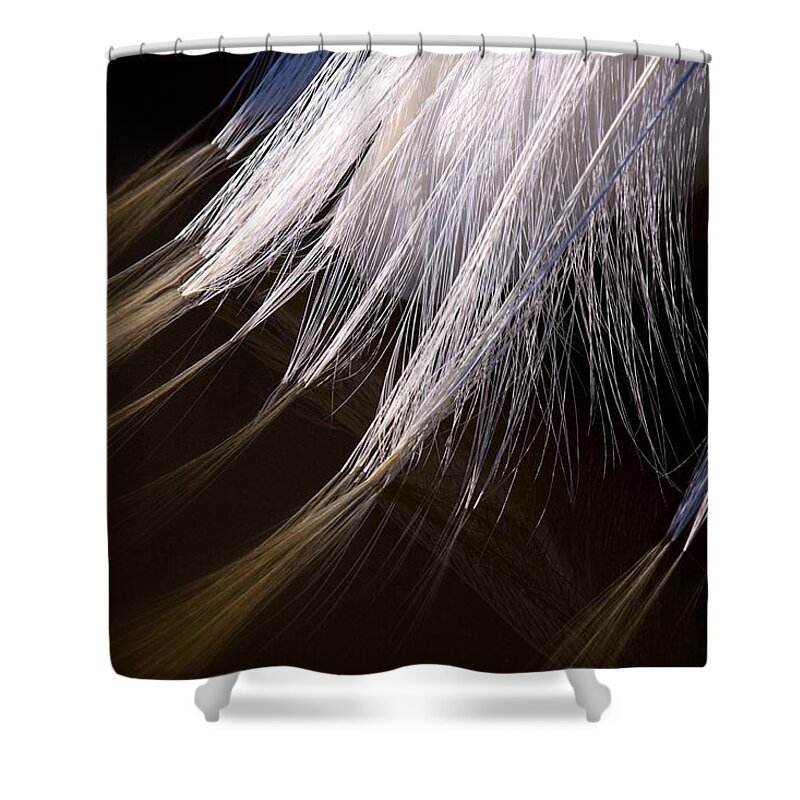 Wildbird Rookery Shower Curtain featuring the photograph Rookery 23 by David Beebe