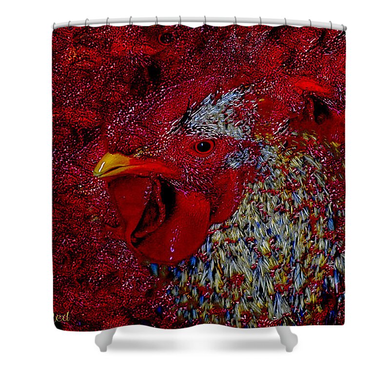 Rooster Shower Curtain featuring the photograph Rooster Red by Amanda Smith