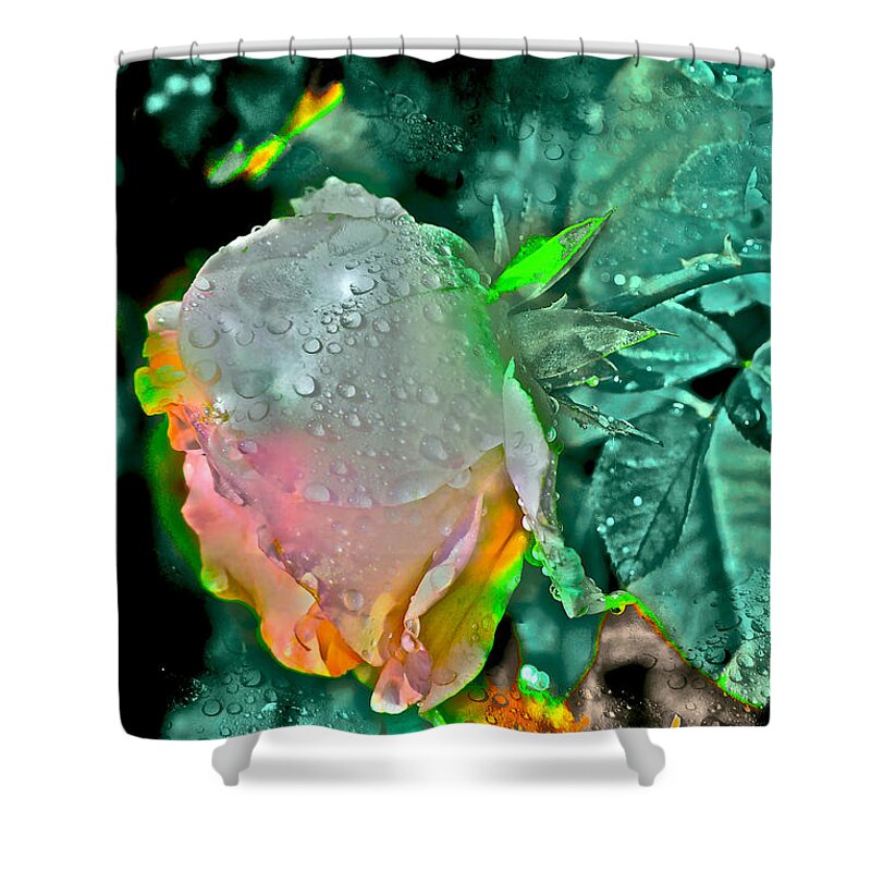 Rose Shower Curtain featuring the photograph Rose 82 by Pamela Cooper