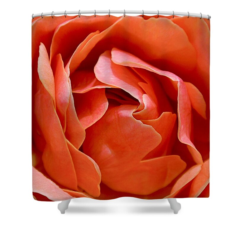 Rose Shower Curtain featuring the photograph Rose Abstract by Rona Black