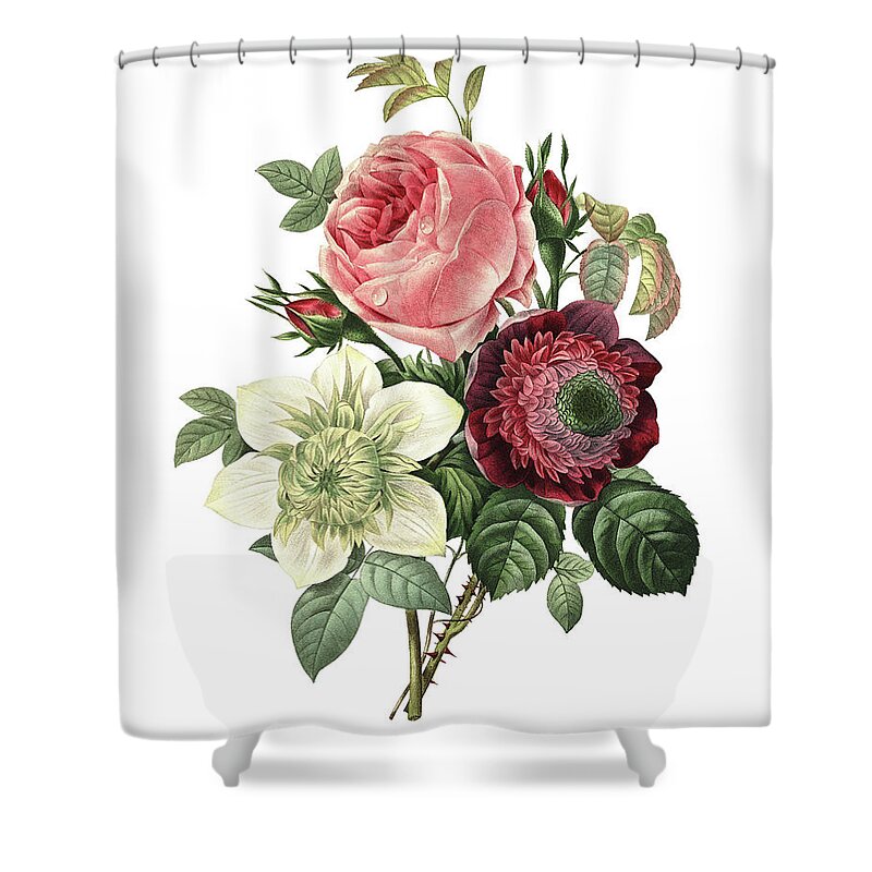 White Background Shower Curtain featuring the digital art Rose, Anemone And Clematis | Redoute by Nicoolay