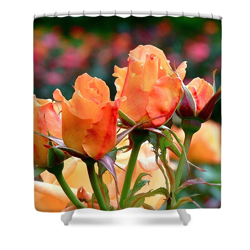 Roses Shower Curtain featuring the photograph Rose Bunch by Rona Black