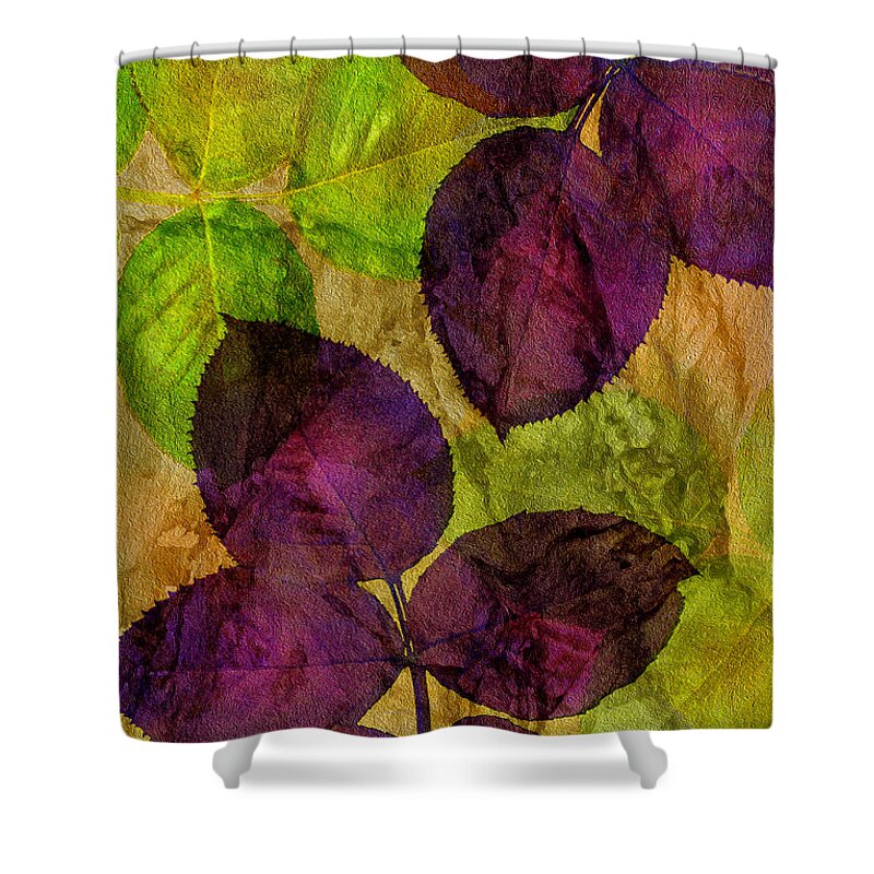 Claudia's Art Dream Shower Curtain featuring the photograph Rose Clippings Mural Wall by Claudia Ellis