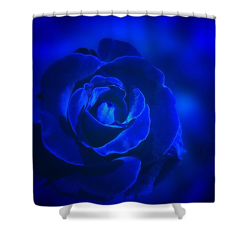Rose Shower Curtain featuring the photograph Rose in Blue by Sandy Keeton