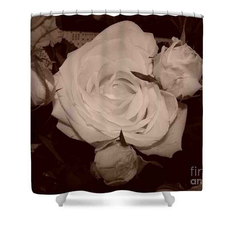Sepia Shower Curtain featuring the photograph Rose by Tiziana Maniezzo