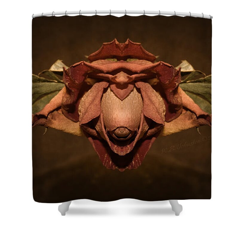 Dried Flower Shower Curtain featuring the photograph Rosebird by WB Johnston