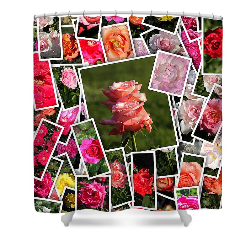 Rose Shower Curtain featuring the photograph Roses Collage by Stefano Senise