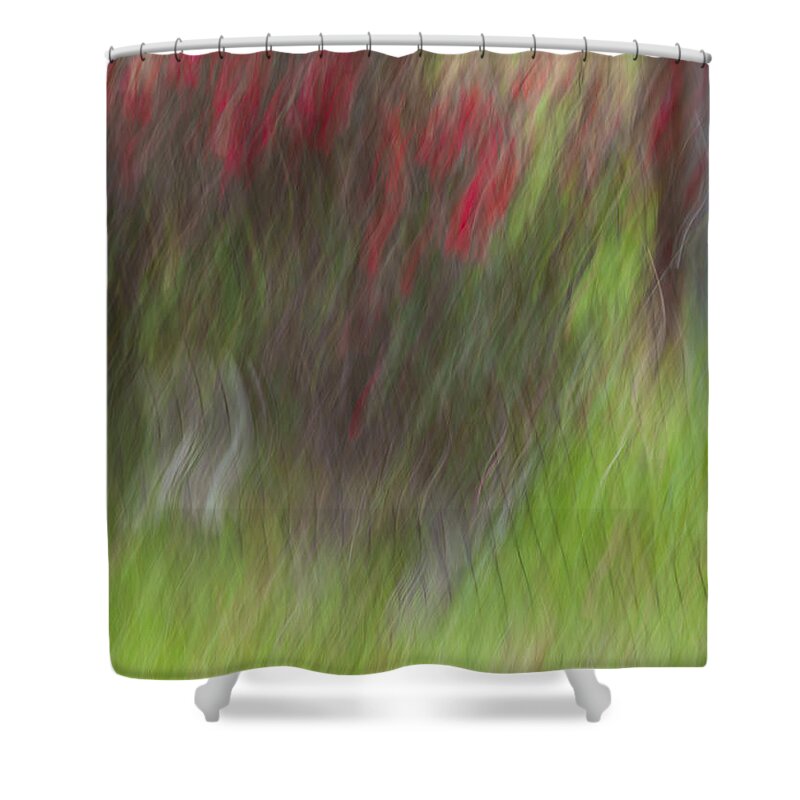 Rose Shower Curtain featuring the photograph Roses by Mark Alder