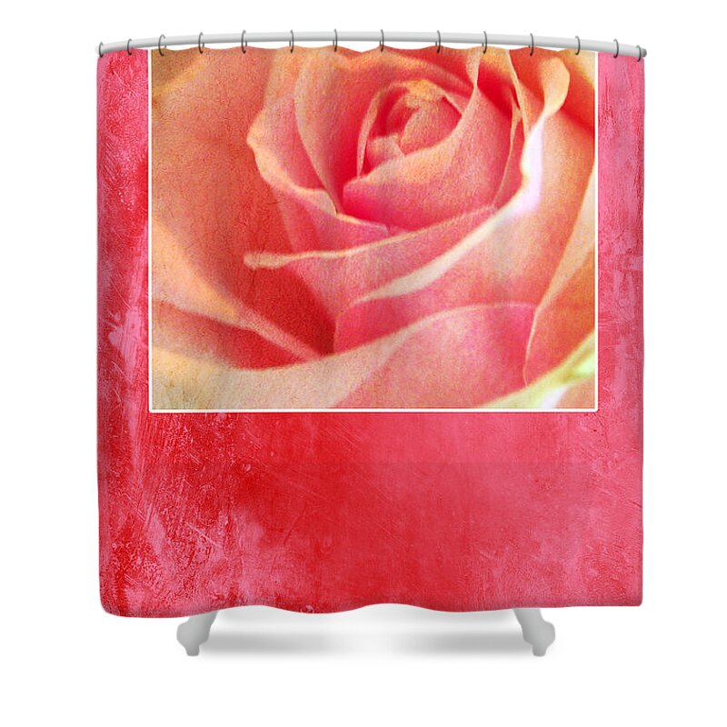 Greeting_card Shower Curtain featuring the photograph Rosy by Randi Grace Nilsberg