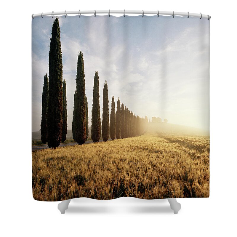 Val D'orcia Shower Curtain featuring the photograph Row Of Cypress Trees And Farmhouse At by Gary Yeowell