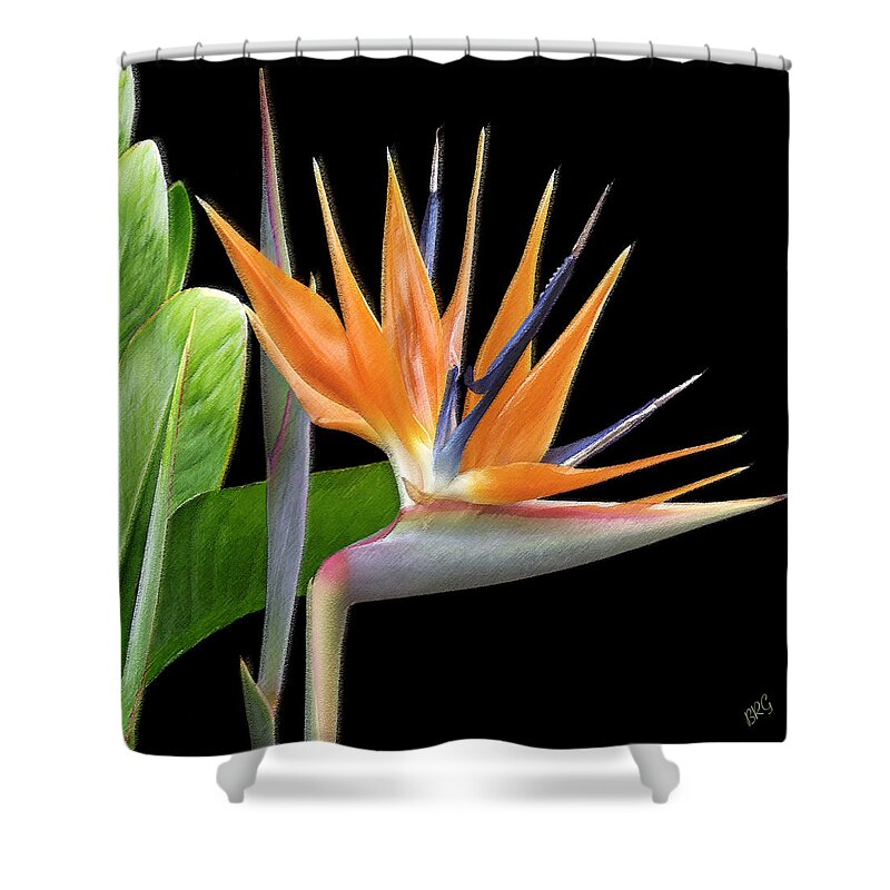 Tropical Flower Shower Curtain featuring the photograph Royal Beauty I - Bird Of Paradise by Ben and Raisa Gertsberg