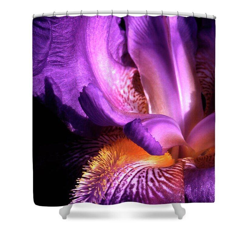 Iris Shower Curtain featuring the photograph Royal Iris by Paul W Faust - Impressions of Light