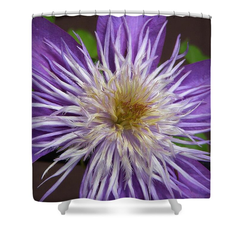 Climatis Shower Curtain featuring the photograph Ruffled Feathers by Terri Waselchuk