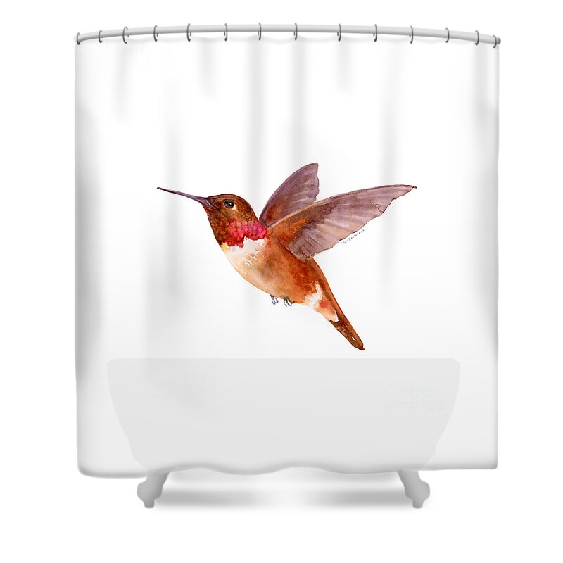 Bird Shower Curtain featuring the painting Rufous Hummingbird by Amy Kirkpatrick