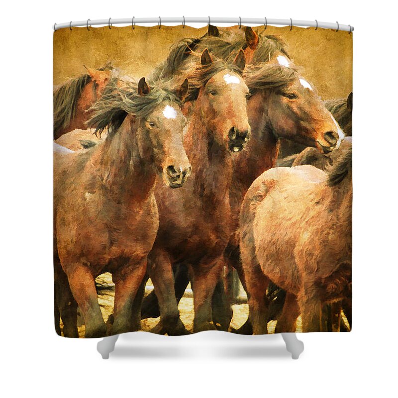 Wild Horses Shower Curtain featuring the photograph Running Herd by Steve McKinzie