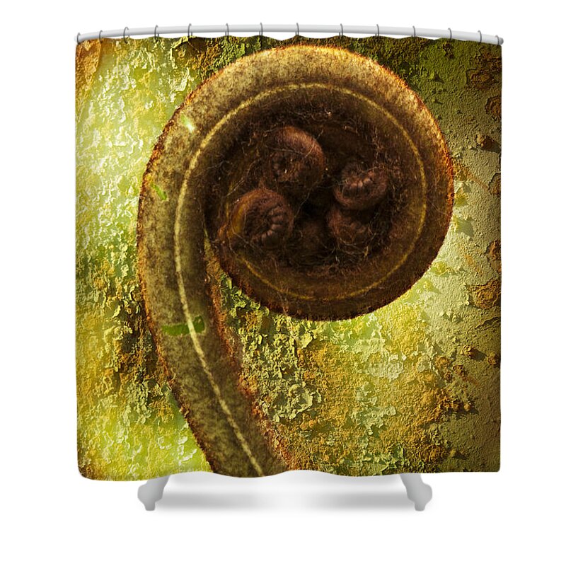 Plant Shower Curtain featuring the photograph Rust and Fern by Heiko Koehrer-Wagner