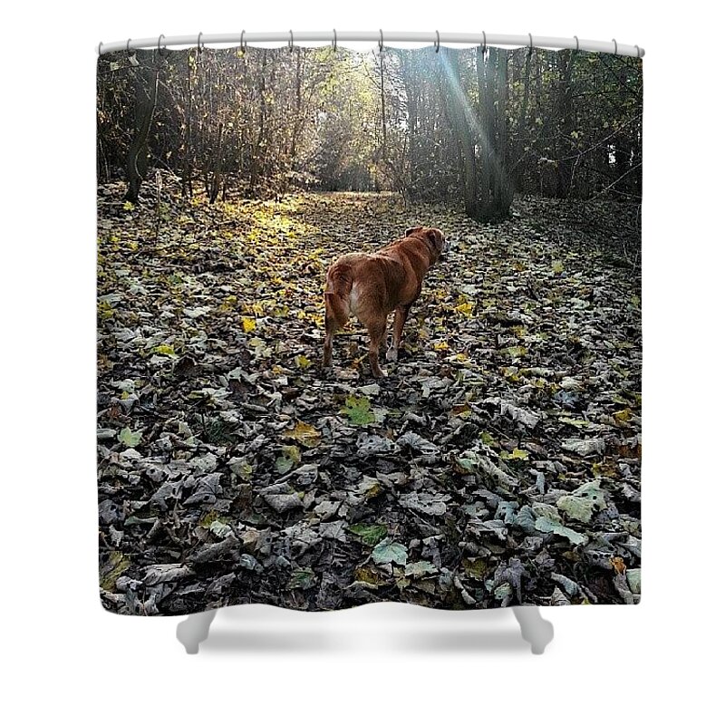 Leaf Shower Curtain featuring the photograph Rustle Through The Leaves by Vicki Field