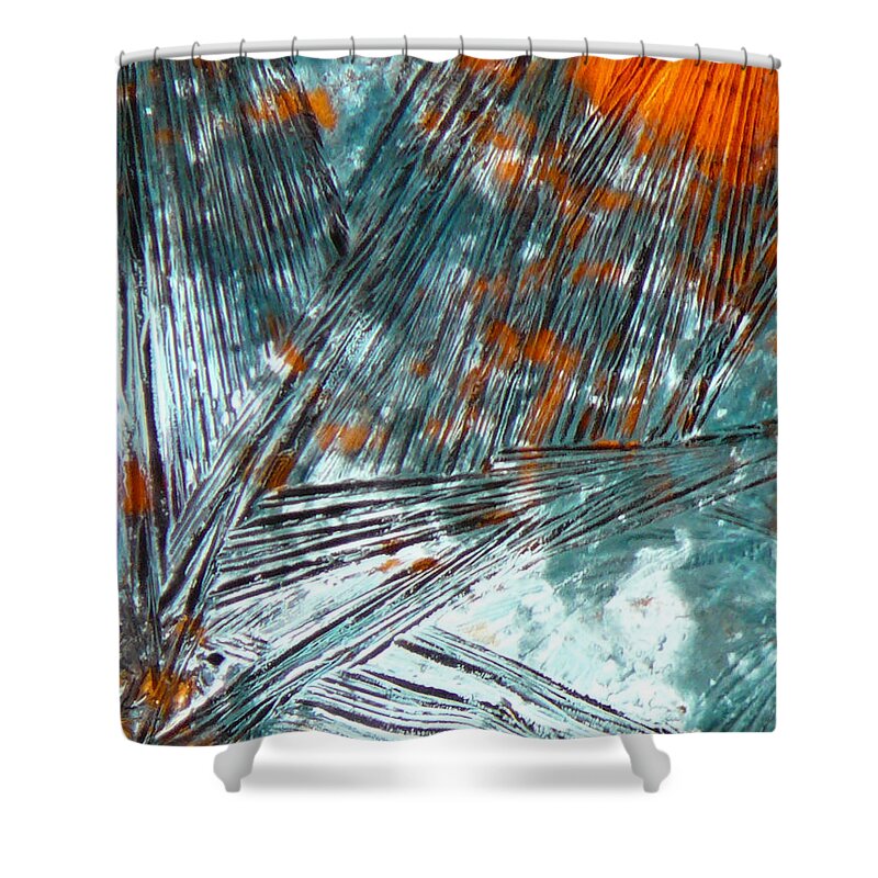 Ice-painting Shower Curtain featuring the photograph Rusty Sun by Chris Sotiriadis